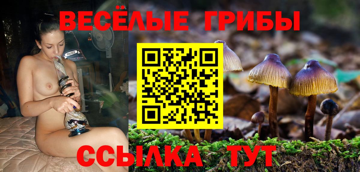 Галлюциногенные грибы MAGIC MUSHROOMS  Вход с VPN  закладка  Орехово-Зуево  Псилоцибиновые грибы Psilocybine cubensis 